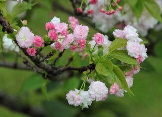 Jaka jest żywotność baterii w telefonie?