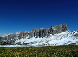 Jak mieć Game Pass za 4 zł na 3 miesiące?