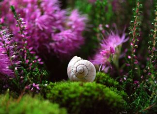 Czy obudowa komputera ma znaczenie? Czy obudowa komputera ma znaczenie?