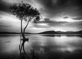 Czy 8 GB w telefonie to dużo? Czy 8 GB w telefonie to dużo?