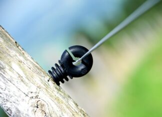 Ile procent Polaków ma smartfon? Ile procent Polaków ma smartfon?