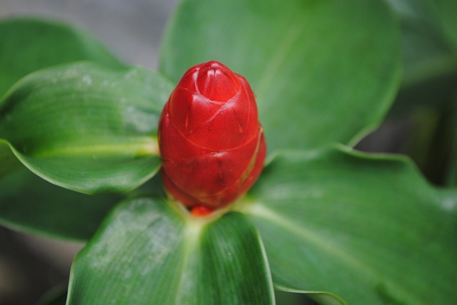 Ile kosztowało PS5 w dniu premiery? Ile kosztowało PS5 w dniu premiery?