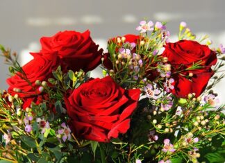 Jaki jest najdroższy Xbox na świecie? Jaki jest najdroższy Xbox na świecie?